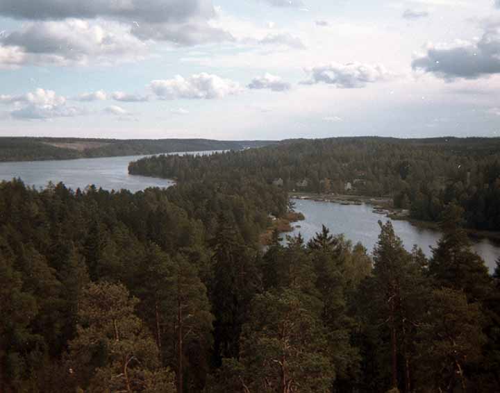 Vy från Tornet söderut över Näsets udde. Foto: Halvard Halvardson.