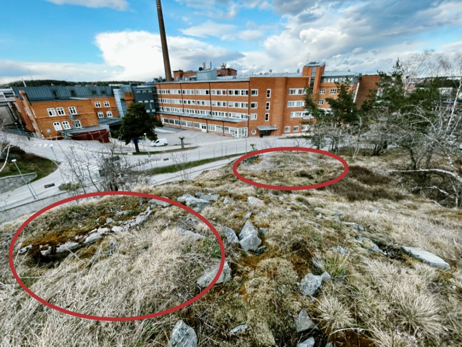 Bilden föreställer värn 4311 A och B som var utförda som dubbelvärn med ett gemensamt skyddsrum. Foto: H. Lindkvist (2023).
